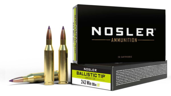 Nosler .243 Winchester 90 Grain Ballistic Tip Brass Cased Centerfire Rifle Ammunition 500 ROUNDS