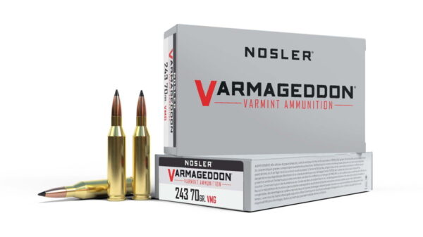 Nosler .243 Winchester Flat Base Tipped 70 grain Brass Cased Rifle Ammunition 500 ROUNDS