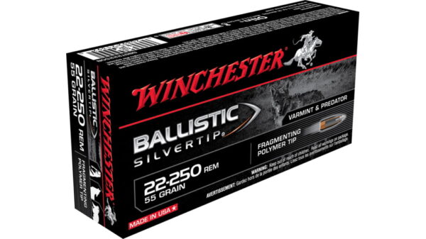 Winchester BALLISTIC SILVERTIP .22-250 Remington 55 grain Fragmenting Polymer Tip